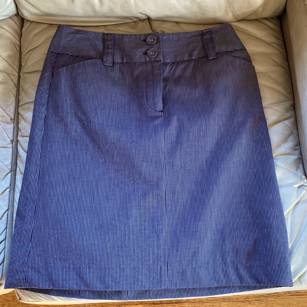 Talbots Petite Skirt